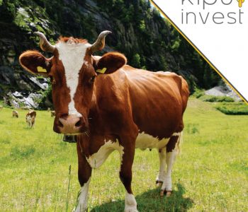 Escassez hídrica faz setor agropecuário diversificar investimentos